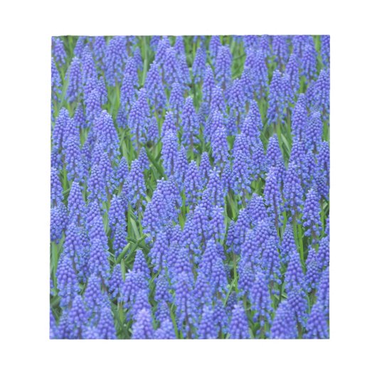 Bloc-note Pretty blue muscari flowers (Devant)