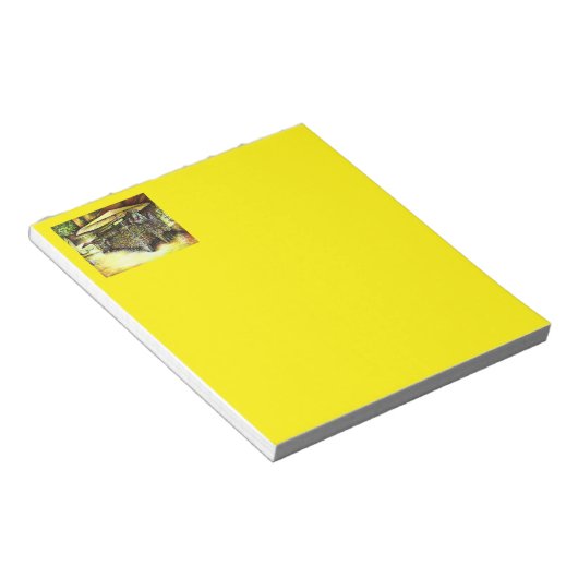 Bloc-note Pris la possession d'options (Incliné)