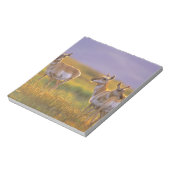 Bloc-note Pronghorn Antelope dans le Montana (Tourné)