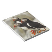 Bloc-note Puffins de l'Atlantique sur l'île des phoques Mach (Incliné)
