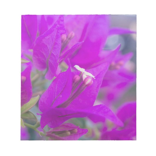 Bloc-note Purple Bougainvillea (Devant)