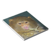 Bloc-note pygmymarmoset10x10 (Incliné)