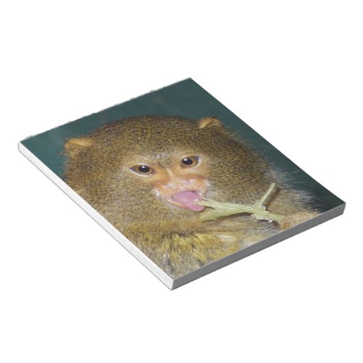 Bloc-note pygmymarmoset10x10 (Incliné)