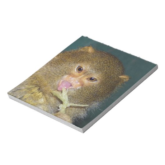 Bloc-note pygmymarmoset10x10 (Tourné)