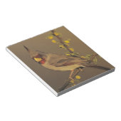 Bloc-note Pyrrhuloxia, Cardinalis sinuatus (Incliné)
