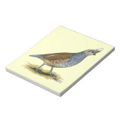 Bloc-note Quail à échelle (Tourné)