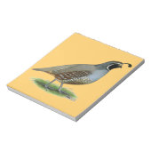 Bloc-note Quail de la Californie (Tourné)