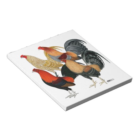 Bloc-note Quatre gamecocks (Incliné)