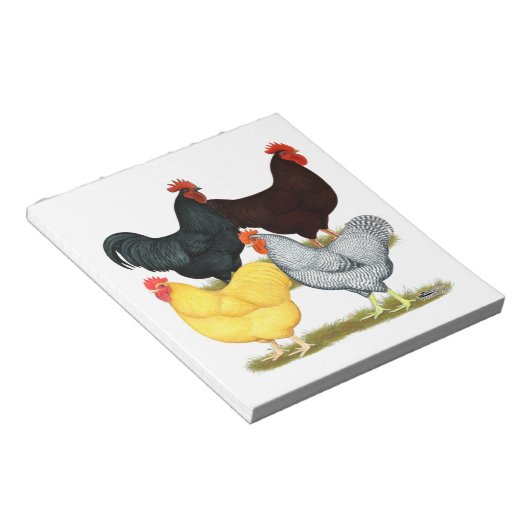 Bloc-note Quatuor de poulet à coq lourd (Incliné)