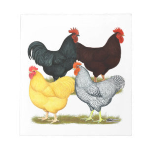 Bloc-note Quatuor de poulet à coq lourd