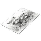 Bloc-note Raccoon Animal Discovery Wild Nature Enk Sketch (Incliné)