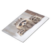 Bloc-note Raccoon Animal Famille errant Nature (Incliné)