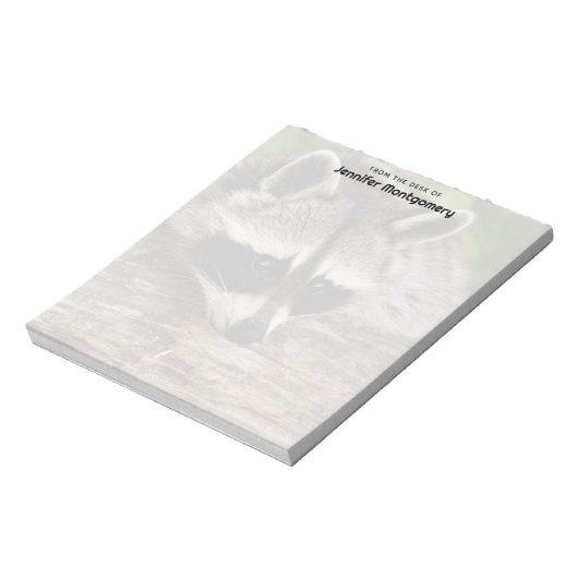 Bloc-note Raccoon mignon reposant sur un journal (Tourné)
