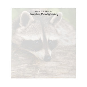 Bloc-note Raccoon mignon reposant sur un journal