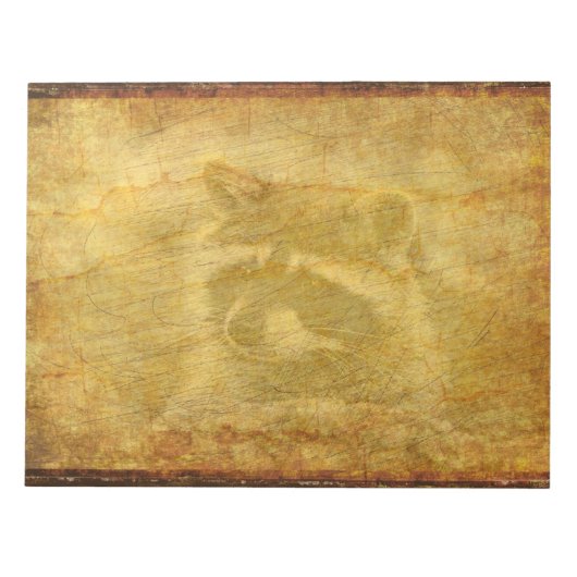 Bloc-note Racoon Faded Vintage (Devant)