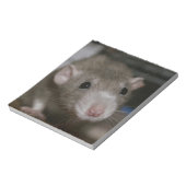 Bloc-note Rat curieux (Tourné)
