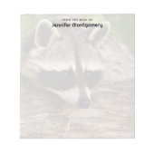 Bloc-note Raton laveur mignon se reposant sur un rondin (Devant)