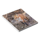 Bloc-note Red Fox de près et personnel (Incliné)