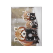 Bloc-note Red Panda Animal Famille errer Nature (Tourné)