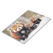 Bloc-note Red Panda Animal Famille errer Nature (Incliné)