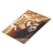 Bloc-note Red Panda Animal Wild Beauté Liberté Wilderness (Incliné)