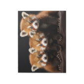 Bloc-note Red Panda Wild Animal Portrait Nature Beauté (Tourné)