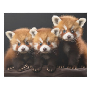 Bloc-note Red Panda Wild Animal Portrait Nature Beauté