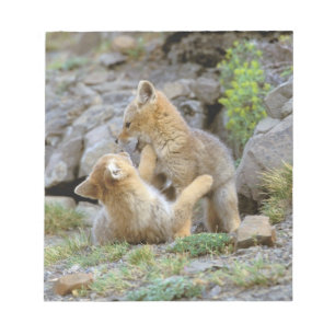 Bloc-note Renard gris d'Amérique du Sud (Lycalopex griseus)