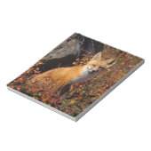 Bloc-note renard rouge, Vulpes vulpes, en couleurs automnale (Tourné)