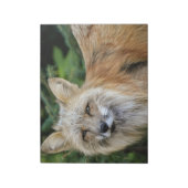 Bloc-note Renard sauvage (Tourné)