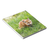 Bloc-note Renardeau (Incliné)