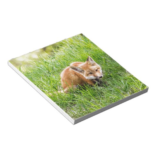 Bloc-note Renardeau (Incliné)