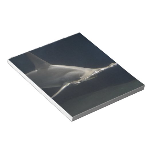 Bloc-note Requin de poisson-marteau (Incliné)