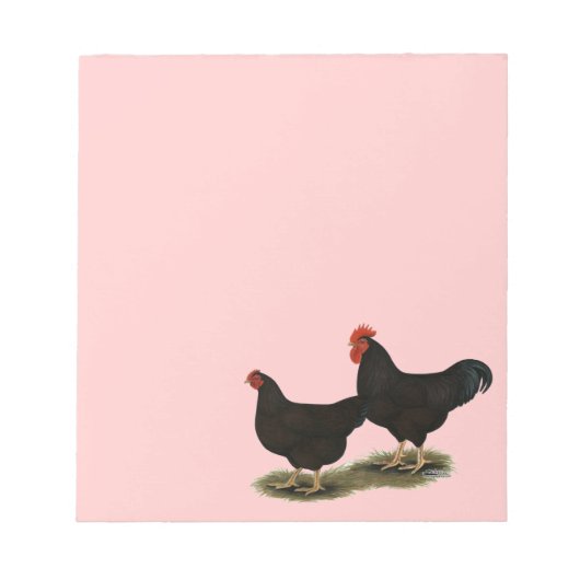 Bloc-note Rhode Island Red Bantams (Devant)