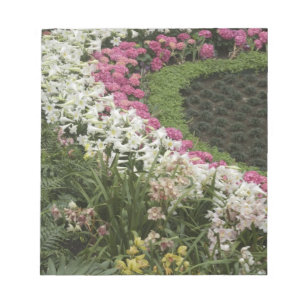 Bloc-note Rhododendron (Rhododendron catawbiense) Lande