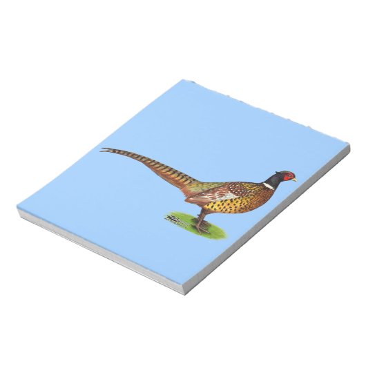 Bloc-note Ringneck Pheasant Rooster (Tourné)