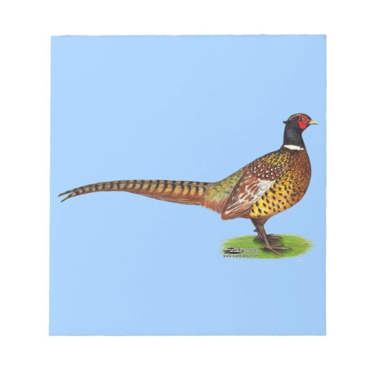 Bloc-note Ringneck Pheasant Rooster (Devant)