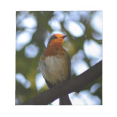 Bloc-note Robin (Devant)