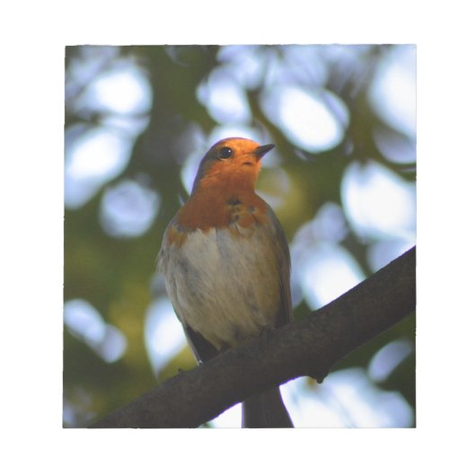 Bloc-note Robin (Devant)