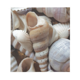 Bloc-note Romantique Tropical Exotic Sea Shells Plage Amour