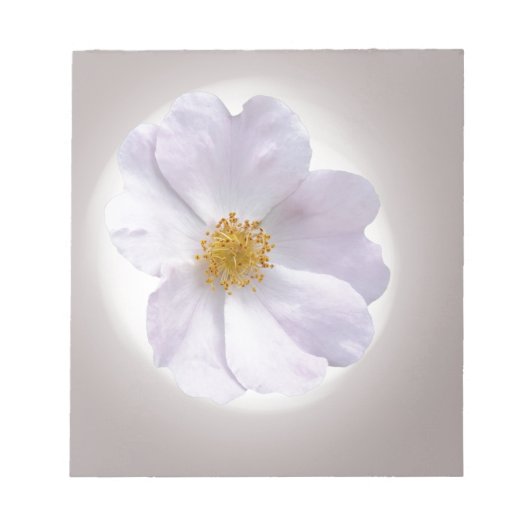 Bloc-note rose à violet (Devant)