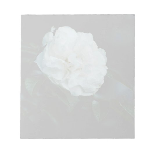 Bloc-note Rose blanche (Devant)