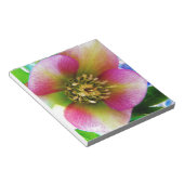 Bloc-note Rose de carême rose, (Incliné)