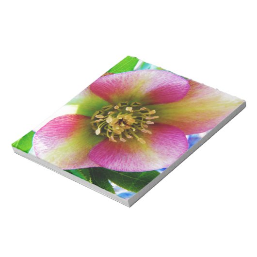 Bloc-note Rose de carême rose, (Tourné)