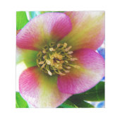 Bloc-note Rose de carême rose, (Devant)