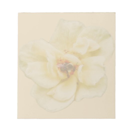Bloc-note Rose et abeille (Devant)
