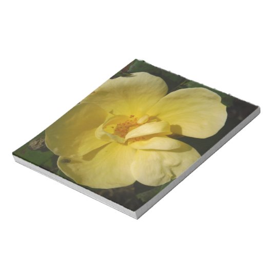 Bloc-note Rose jaune sauvage (Tourné)