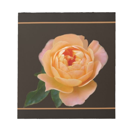 Bloc-note Rose Macro Rose (Devant)