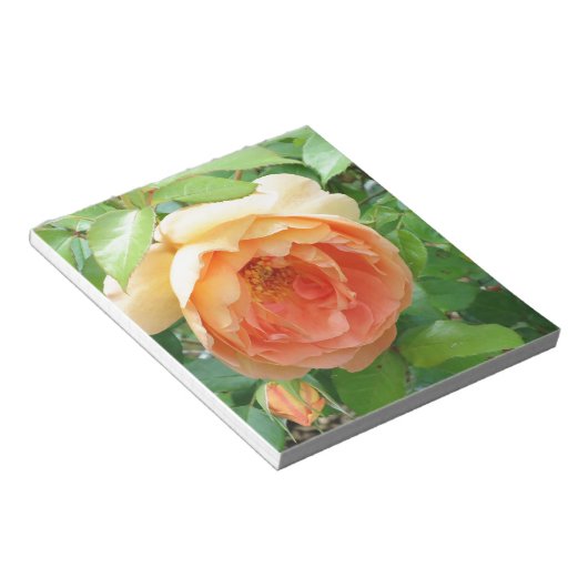 Bloc-note Rose orange (Incliné)