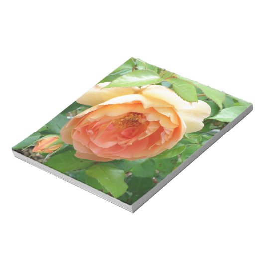 Bloc-note Rose orange (Tourné)